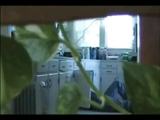 ჟანეტ სელ
