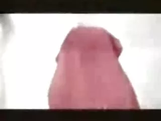 ლუბის წმინდა პეტის დღისთვის