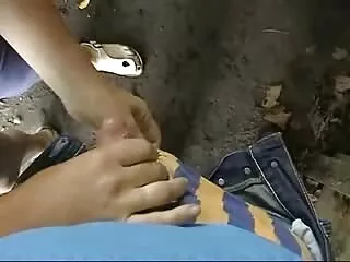 მათე როდრიგესი და ალექს ვულფი
